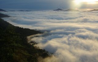 雾，薄雾，景观，自然，雾，山，有雾