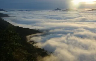 雾，薄雾，景观，自然，雾，山，有雾