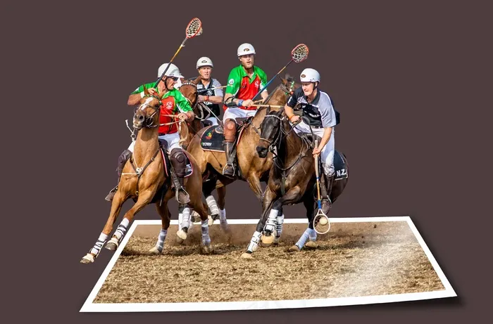 图像编辑，体育，马术，球类运动，团队