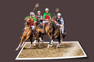 图像编辑，体育，马术，球类运动，团队