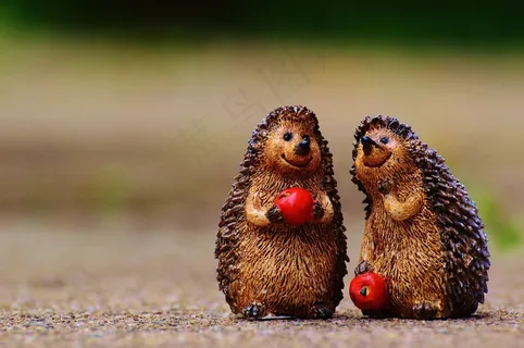 刺猬，数字，搞笑，可爱，甜，对，苹果