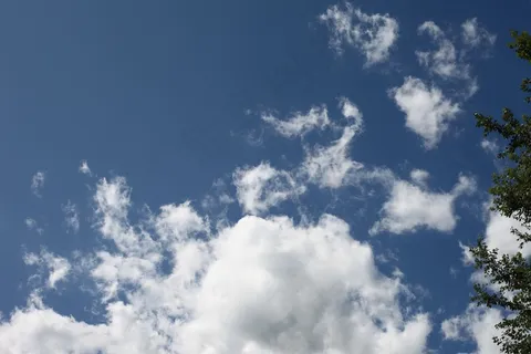 天空,云,树枝,性质,夏天 天空,云,树枝,性质,夏天