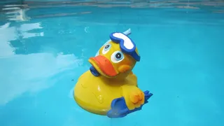 鸭，Quietscheente，湿，游泳，颜色，玩具，坏