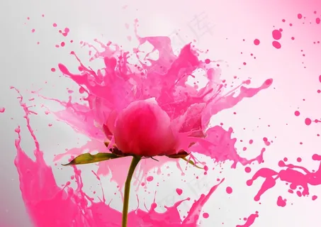 花朵，合成，艺术品