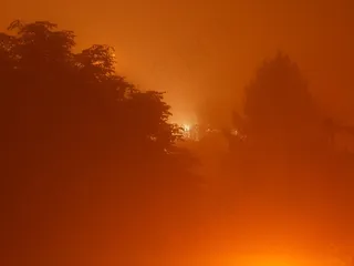 雾，森林，有雾，夜，天气，自然