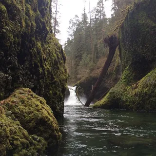 美丽，瀑布，森林，河流，水流