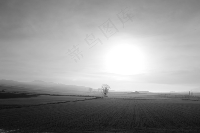 景观，黎明，光线，自然，地平线，背光