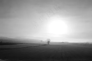 景观，黎明，光线，自然，地平线，背光