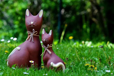 猫，母亲，儿童，滑稽，可爱，草地