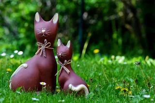 猫，母亲，儿童，滑稽，可爱，草地