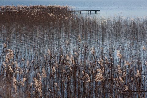 湖，银行，天空，水，蓝色，休息，阳光明媚，景观