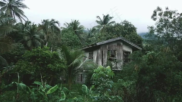 自然公园,山峦,园林景观,树,生态林,木材自然林木
