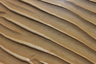 沙，海，海滩，自然，海洋，纹理，背景