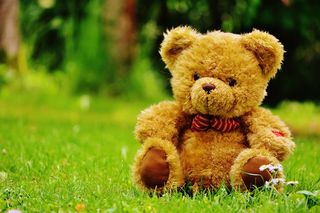 泰迪熊，熊，熊，毛绒动物，泰迪，可爱