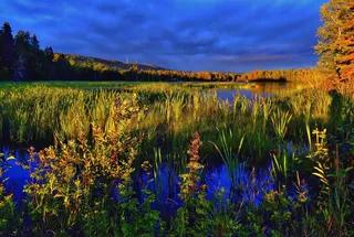 景观，天空，颜色，沼泽，湖泊，蓝色