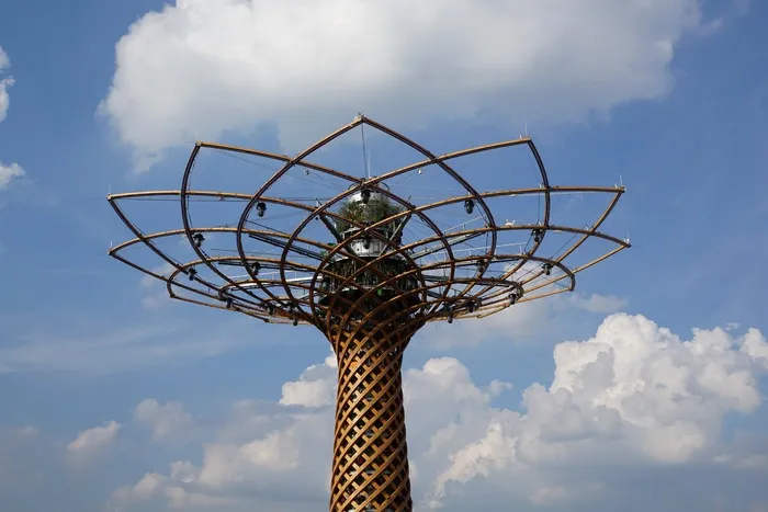 建筑，博览会，现代，世界博览会，无花果，树