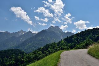 景观，离开，山区公路，山脉，森林