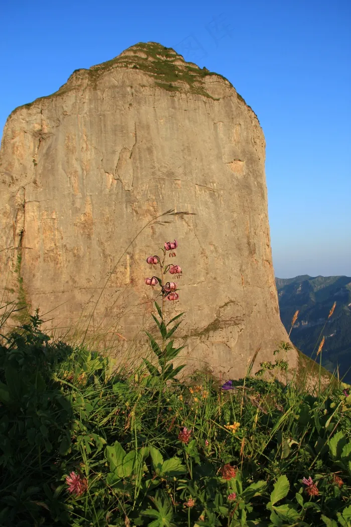 日出，Morgenrot，太阳，光，景观，天际线