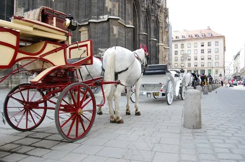 出租车,马车,马匹,维也纳,奥地利,旅行 出租车,马车,马匹,维也纳,奥地利,旅行
