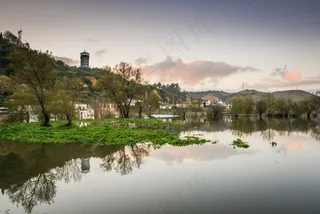 湖，反射，镇，村，湖畔，岸，水