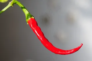 辣椒，辣椒，荚，锋利，火热，红色