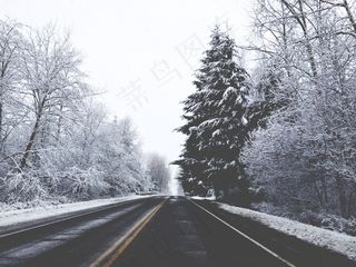 道路，街，雪，冬冬季，树木，森林，森林，方式