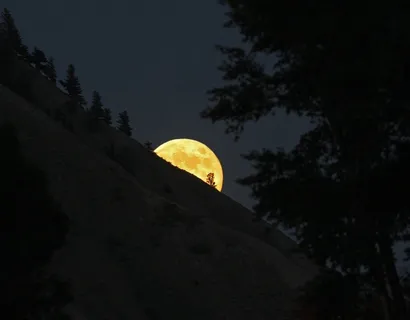 满月，上升，夜，风景，天空，户外