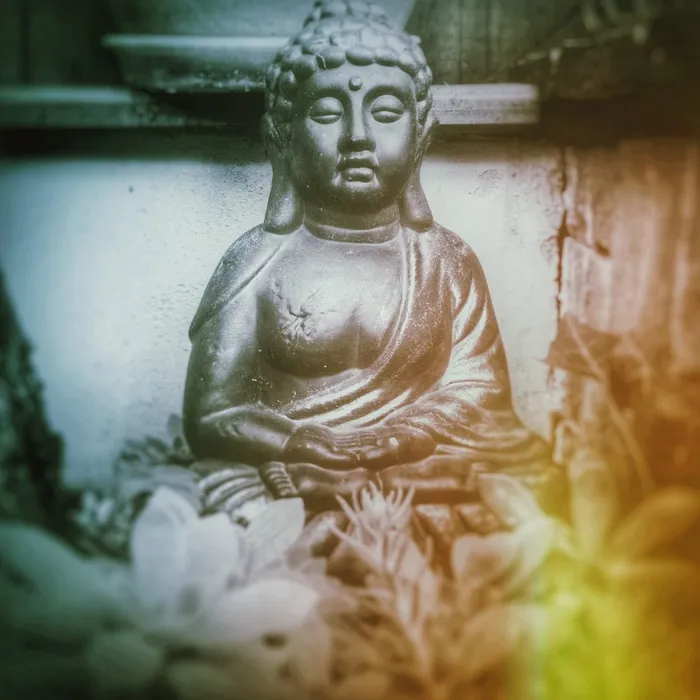 禅宗，冥想，佛陀