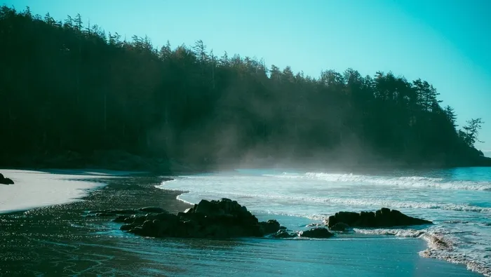 海滩，海岸，树木，鹅卵石，沧海，海洋，海岸，夏天