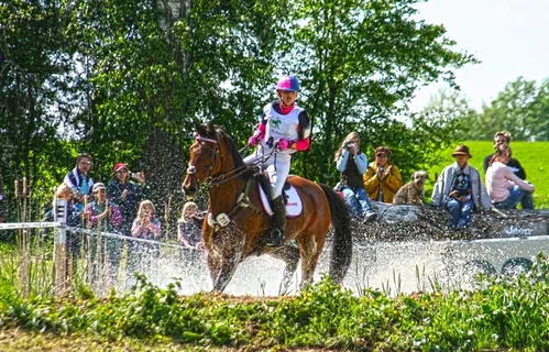 多功能性，平顺性，多功能性检查，三项赛