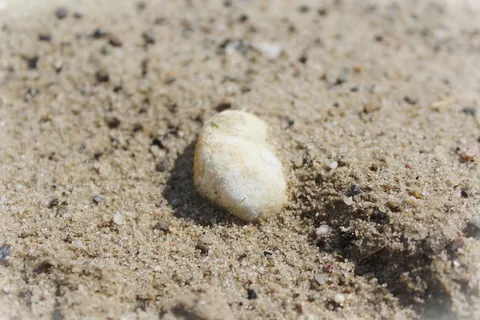 石头,沙,海滩,海,自然,沙滩,夏天 石头,沙,海滩,海,自然,沙滩,夏天