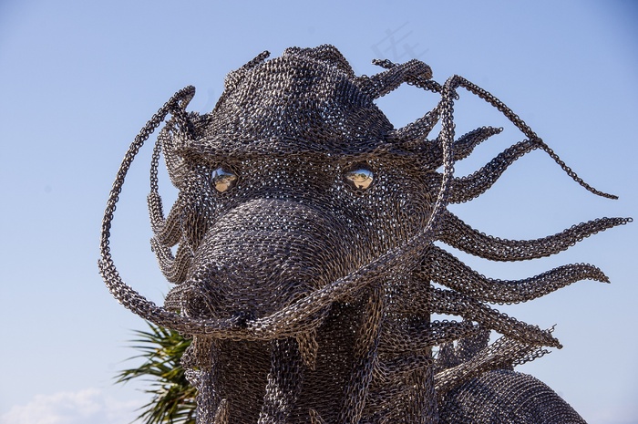 龙，头，脸，眼睛，闪亮，大，模型