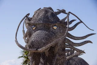 龙，头，脸，眼睛，闪亮，大，模型