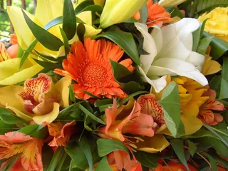 花，束鲜花，春天