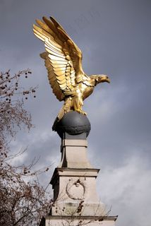 镀金,鹰,雕塑,黄金,皇家,空气,力量 镀金,鹰,雕塑,黄金,皇家,空气,力量