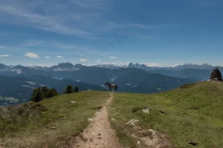 生活，美女，场景，自然，风景，地球，野性