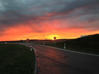 道路，阿尔高，日出，摩根罗特，离，单向街