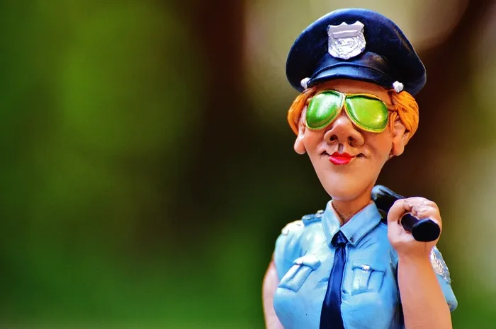 女警察，搞笑，无花果，警察