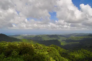 森林，丘陵，景色，全景，景观，自然，树木