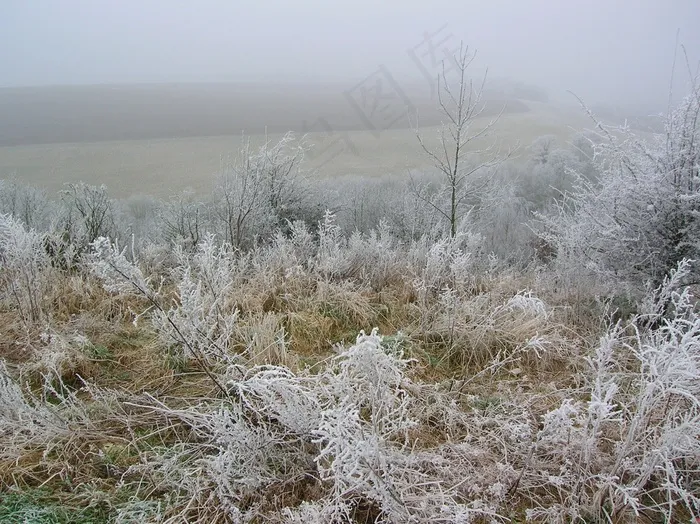岩，冬季，弗罗斯特，冷，冻结，雪，景观