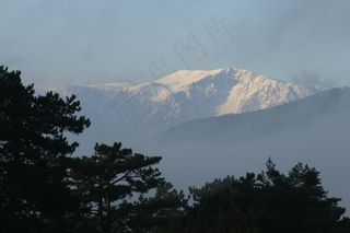 雪山，下奥地利，有雾，黑松，雪域