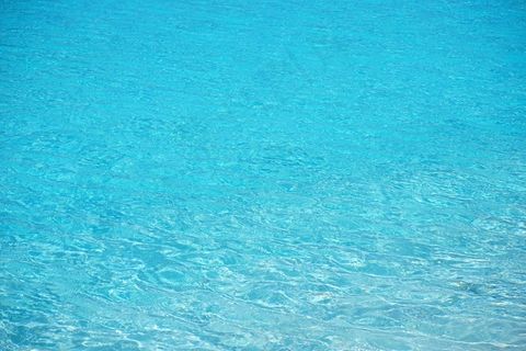 水，透明，蓝色，茶点，透明