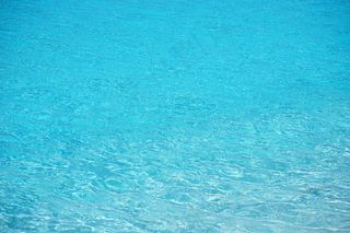 水，透明，蓝色，茶点，透明