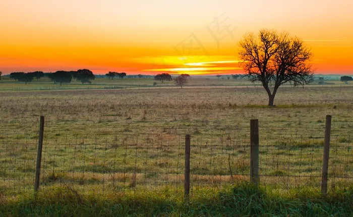 阿连特茹，葡萄牙，日出，平原，景观