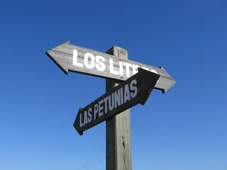 道路标志，叉，箭头，十字路口，招牌，标志