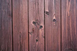 木，议会，性质，树，纹理，老，粮食，董事会