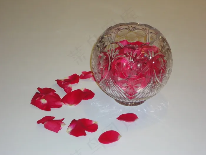 玫瑰花瓣，鲜花，盛开，玫瑰，花的，浪漫