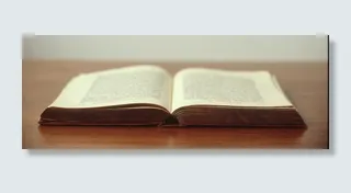 沙发,床,纸品湿巾,钱包,枕头,：桌上的书