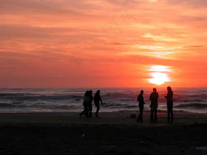 赞德沃特,荷兰,荷兰,北荷兰省,海岸 赞德沃特,荷兰,荷兰,北荷兰省,海岸