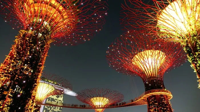 滨海湾花园，新加坡，夜晚，照明，地标